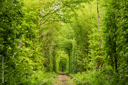 Real natural wonder love tunnel created from trees along the railway Ukraine, Klevan