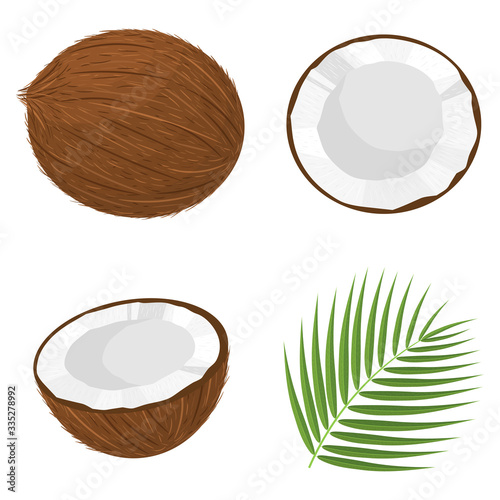 Set of exotic whole, half, cut slice coconut fruits and leaves isolated on white background. Summer fruits for healthy lifestyle. Organic fruit. Cartoon style. Vector illustration for any design.