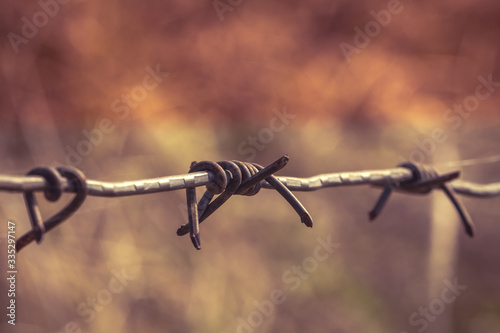 Steel barbed wires and blurry background in the field. Human rights and social justice abstract concept with blurry barbed wire fence, Holocaust remembrance day for victims of torture