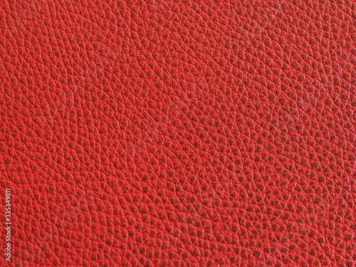 The texture of the skin is red. Background and pattern