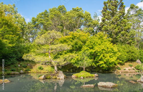 The beautiful tree planting in Japanese rock garden in Hamilton, New Zealand. Rock garden is a type of garden which suggests mountains and water using only stones, sand or gravel and, occasionally, pl