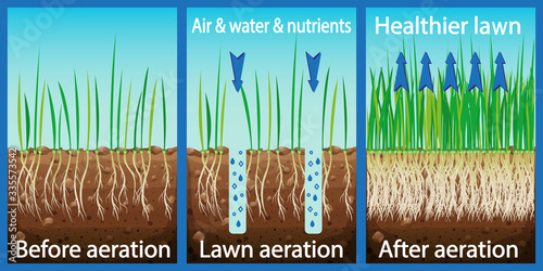Aeration of the lawn. Enrichment with oxygen water and nutrients to improve lawn growth. Before and after aeration: gardening, lawn care services. Advantages, aeration