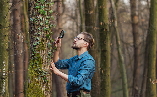 Half-body pic of focused botanist taking close look at ivy on tree standing in bare deciduous forest