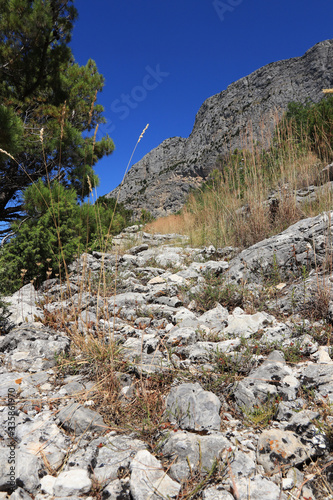 Forgotten stone road in a secluded part of Gradac, Split-Dalmatia County, Croatia. Dangerous path for settlers. Countryside in Hrvatska. Sunny day with blue sky. Ideal trip without people