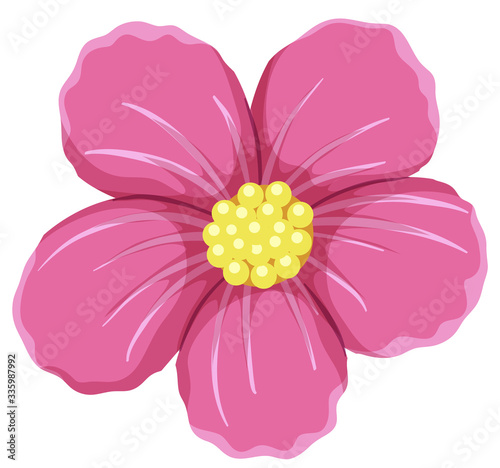 Pink flower on white background