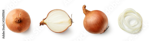 Set of fresh whole and sliced onions