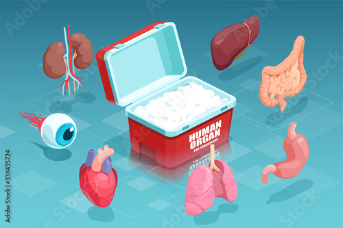 Vector of donor organs collected for transplantation