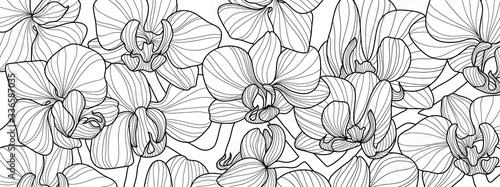 Luxury Orchid wallpaper design vector. Tropical pattern design,Blossom floral, Blooming realistic isolated flowers. Hand drawn. Vector illustration.