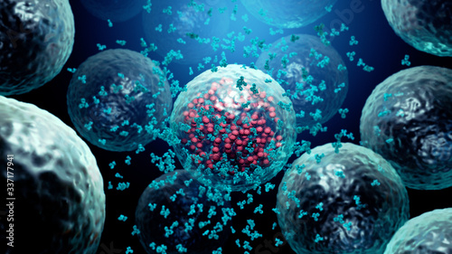 Antibodies destroy an infected cell by a virus, immun defense kill the infected cell 