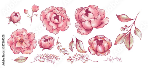 Pink flowers stylization, Peonies, sakura, apple tree, rose, Illustration procreate, Business card, Postcard, Copy space, Isolated on white