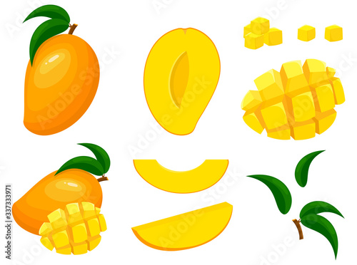 Set of fresh whole, half, cut slice mango fruits isolated on white background. Summer fruits for healthy lifestyle. Organic fruit. Cartoon style. Vector illustration for any design.