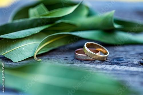 Wedding rings on a beautiful leaf branch and vintage wooden texture background.