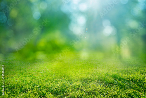 natural grass background with blurred bokeh and sun