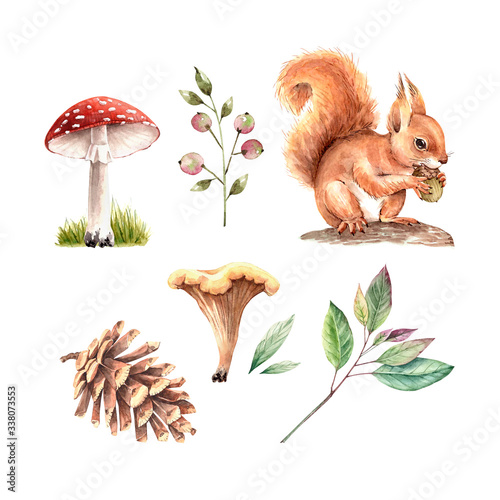 set of watercolor illustrations: red squirrel with mushrooms, berries and plants on a white background close-up