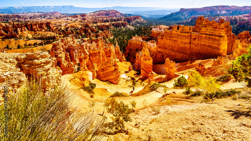 The Wall Street Hiking Trail through the Vermilion colored Pinnacles and Hoodoos in Bryce Canyon National Park, Utah, United States