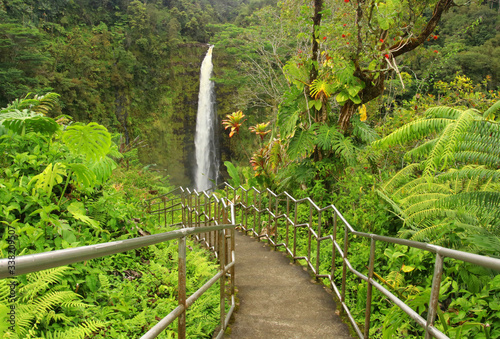 Beautiful Hawaii Big Island nature background. Scenic landscape with boardwalk to waterfall inside the rainforest. Akaka Falls State Park, Hawaii Big Island, USA.