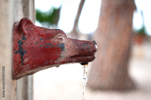 Drinking fountain in the shape of a wolf's head in the garden of the Orange Trees on the Aventine Hill, Rome