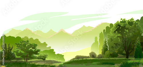 Forest, mountains in the distance. Vector. Green beautiful landscape. Mature trees, oysters and grass. On the horizon foggy mountains. Mysterious bright distance, yellow hills. Background.