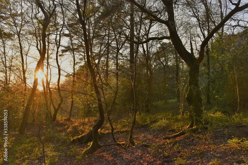 Sunset at Marley Common