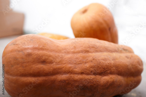 Pumpkins or butternut squashes on grey concrete background