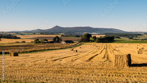 Bennachie Harvest View