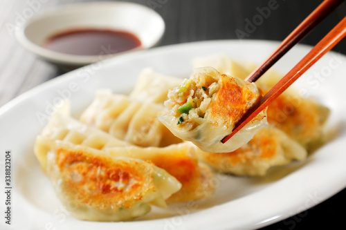 焼き餃子 Gyoza (Japanese grilled dumplings)