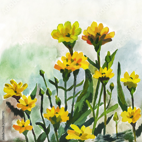 Watercolor wildflowers, hand-drawn, flower illustration, green bushes .Cute composition for a postcard