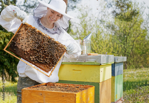 Beekeeper holding a honeycomb woman in protective workwear inspecting honeycomb frame at apiary.