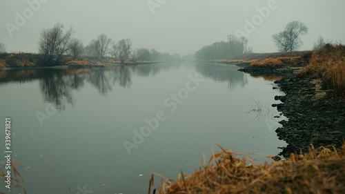 widok w głąb rzeki