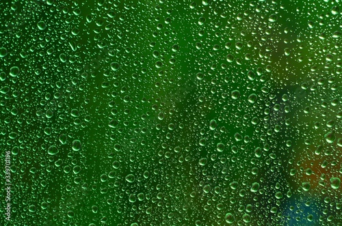 Autumn raindrops on window with green background/ Krople deszczu na szybie