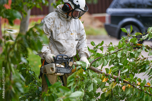 A man is sawing a tree upstairs. The ropes supporting a person are sawing a tree. A sophisticated rope system to support a person chopping a tree. Place for writing. Safety net.