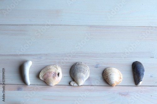 copy space background calming relaxing zen scene of scented flowers and candles , sea shells and reading while relaxing 