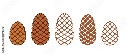 Pine nut logo. Isolated pine nut on white background. Cedar