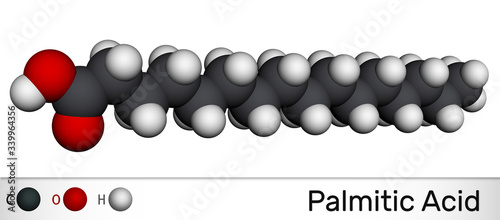 Palmitic acid or hexadecanoic, C16H32O2 molecule. It is saturated fatty acid. Molecular model