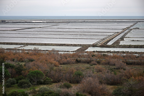 Les salins de La Palme, Aude, Occitanie.