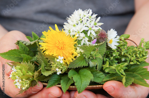 Salat Wildkräutersalat Schale Hand Hände sammeln ernte ernten 