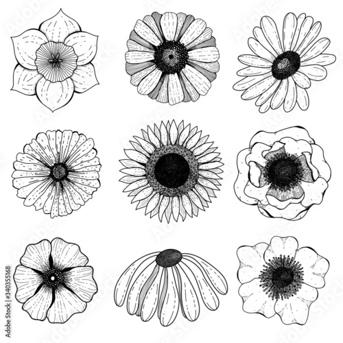 Set of Nine Vector Line Art Flowers