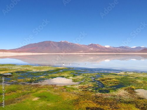 Salt lake Laguna Blanca in the Potosi Department, Bolivia. Copy space for text