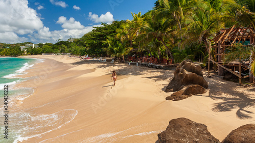 tropical paradise beach with white sand and coco palms travel tourism wide panorama background Luxury travel summer holiday background concept.