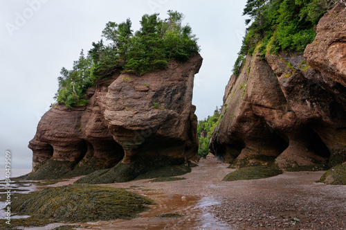 Large Flower Pot sea stacks and caves at low tide at Hopewell Rocks Bay of Fundy