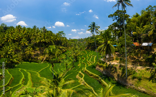 Low altitude drone view of spectacular and beautiful rice terraces in Bali, Indonesia