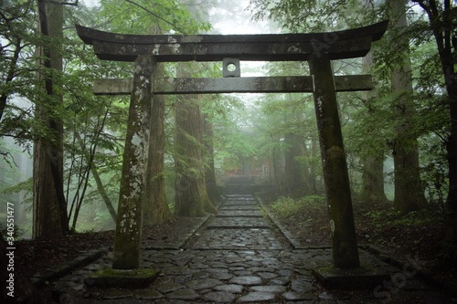 Japanese torii Shinto shrine gate in the forest, Nikko, Japan