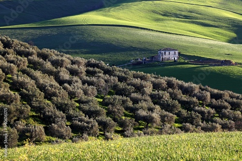 BELLEZZE DI CALABRIA Tarsia , paesaggio rurale .