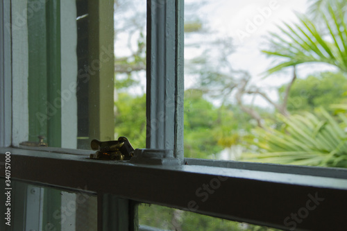 Detalle de una ventana de la casa de Ernest Hemingway