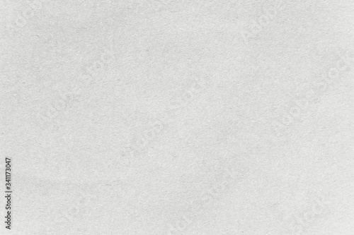 Light gray kraft paper textured background