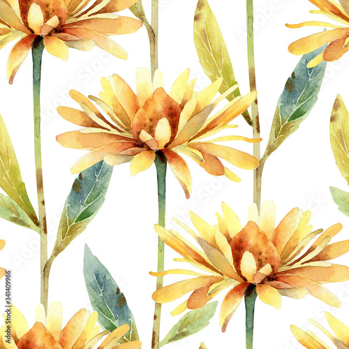 Watercolor seamless pattern with rudbeckia flower