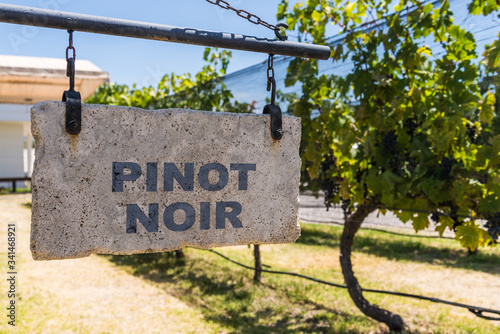 Sign of Pinot Noir grape wine against the background of vine plants in a vineyard