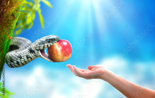 Snake in paradise giving an apple fruit to a woman