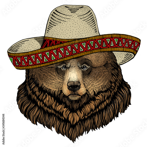 Grizzly bear. Sombrero mexican hat. Portrait of wild animal.