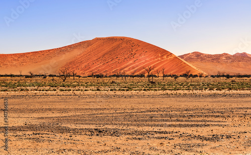 Sand Dune in the Namibian Desert near Sossusvlei in Namib-Naukluft National Park, Namibia.